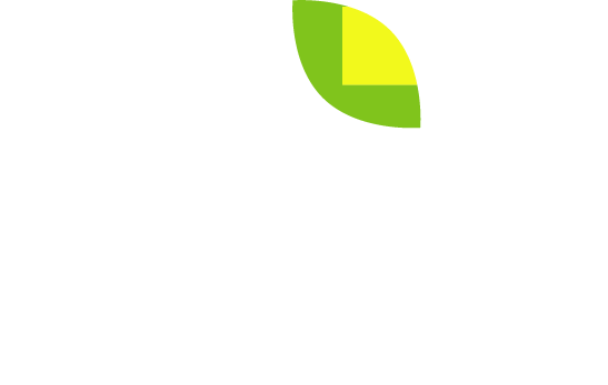 the logo for parks and squares is shown in white against a green background